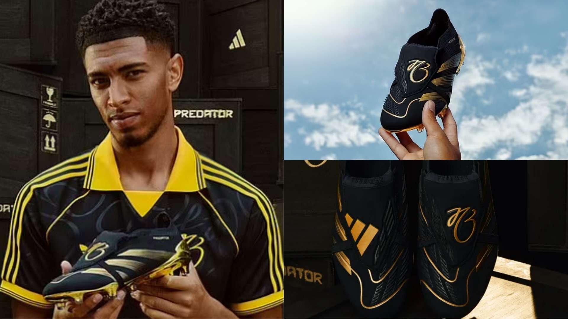 的积极表现 的积极表现